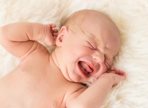 Newborn baby crying on white background — Φωτογραφία Αρχείου