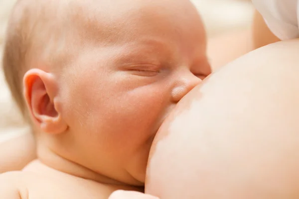 Bebê recém-nascido se alimenta dos seios da mãe — Fotografia de Stock