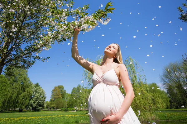 Mujer feliz y embarazada disfrutando del olor de sakura —  Fotos de Stock