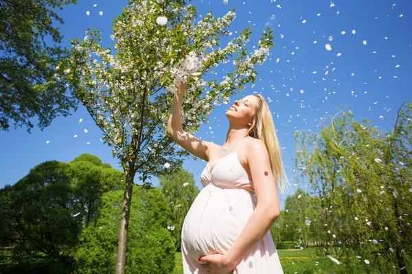 Όμορφη γυναίκα με μωρό χτύπημα στέκεται δίπλα στο sakura δέντρο — Φωτογραφία Αρχείου