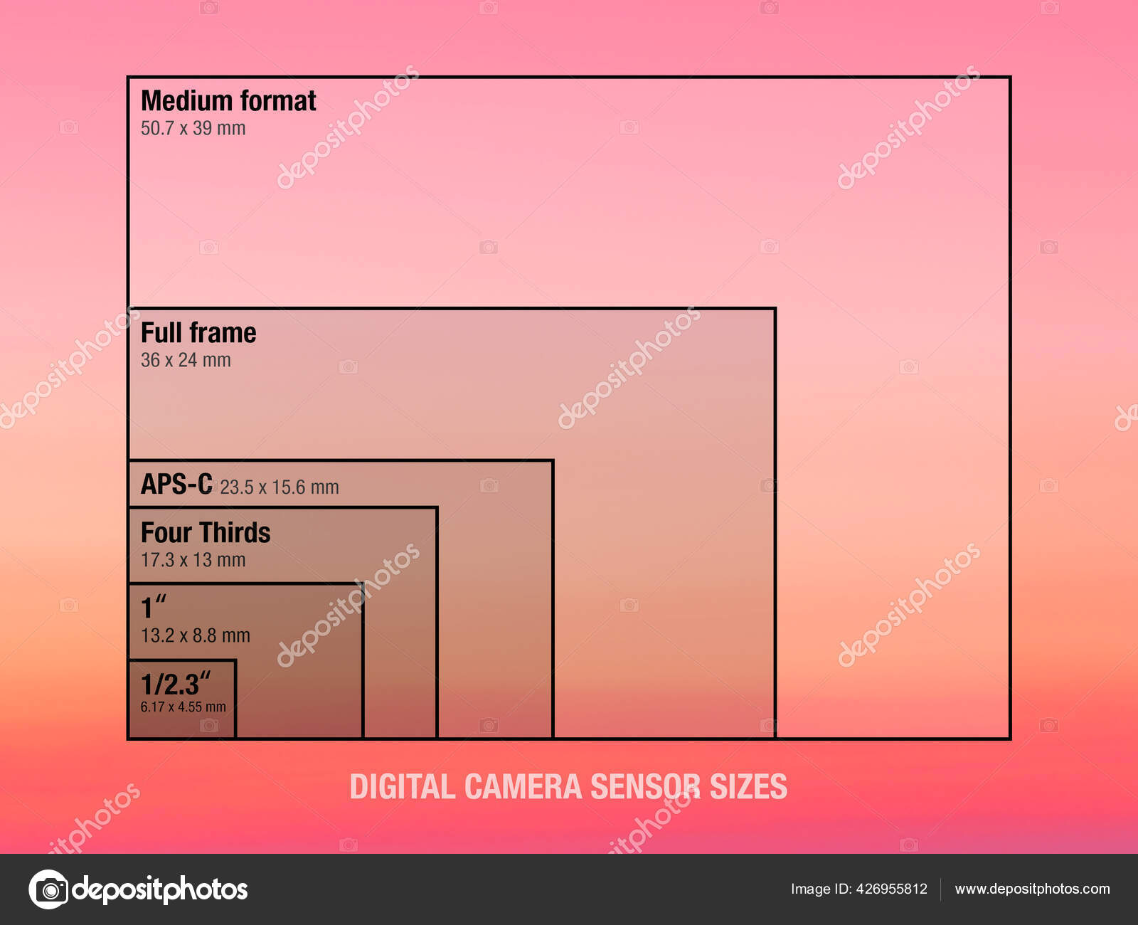 Digital Camera Sensor Sizes Comparison — Stock Photo