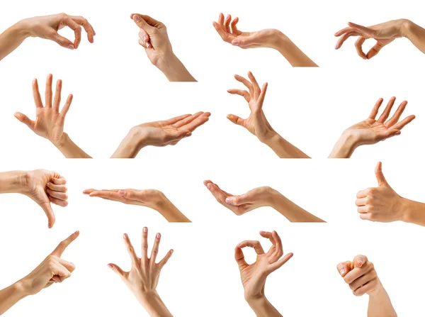 Collection of isolated woman's hands — Stock Photo, Image