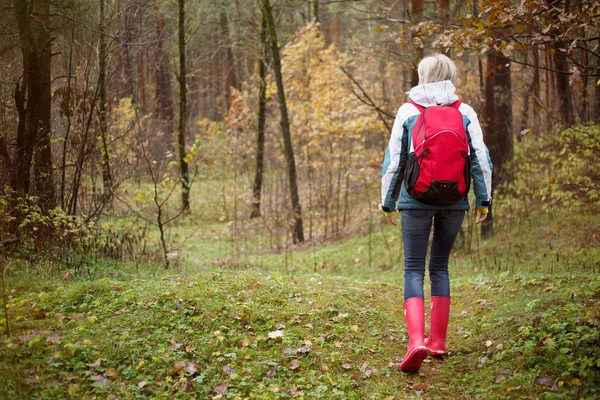 Woman hiking in forest — Stock Photo, Image