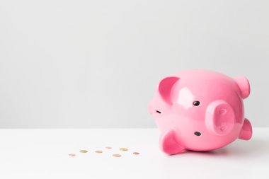 Empty piggy bank clipart