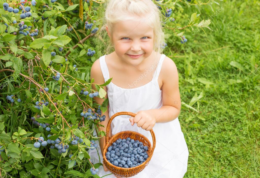 Girl collecting blueberries Stock Photo by ©grinvalds 90849788