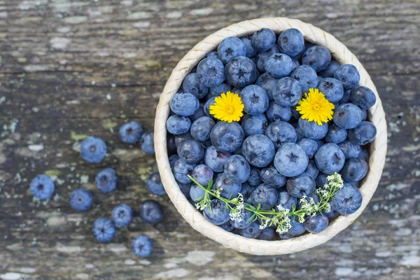 Bleuets frais et savoureux — Photo