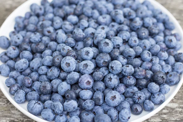 Frisch gesammelte Blaubeeren — Stockfoto