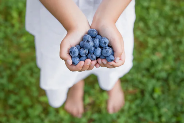 Blueberries in child's hands — Stock Photo, Image