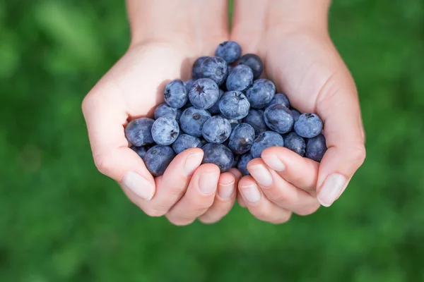Blueberries in woman hands — Stock Photo, Image