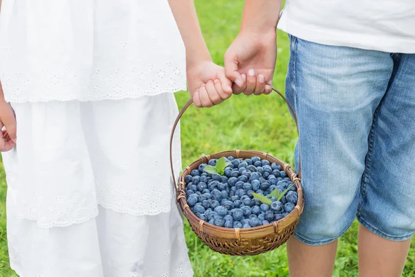 Cesta para niños — Foto de Stock