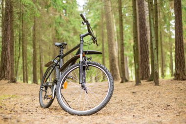 Ormanda bir bisiklet