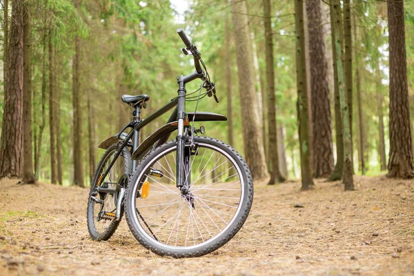 Una bicicletta nel bosco — Foto Stock