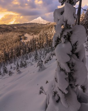 Mount Hood Oregon, ABD fırtınalı kış manzara.