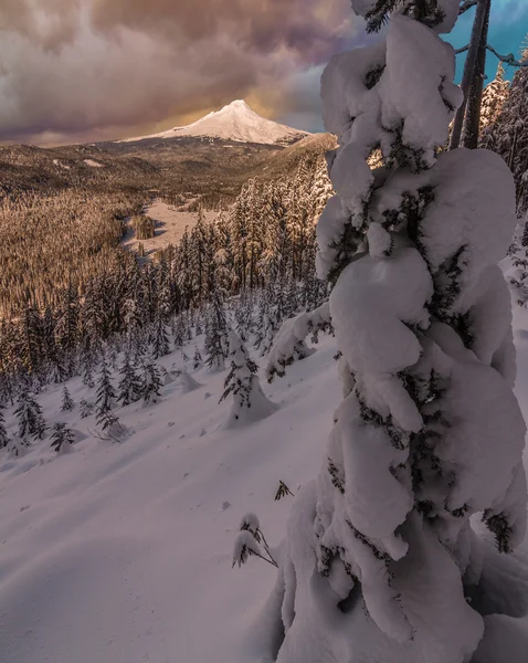 Stürmischer Winterausblick auf den Mount Kapuze in oregon, USA. — Stockfoto