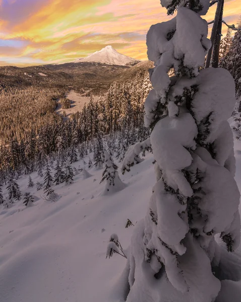 Stormy Winter Vista of Mount Hood en Oregon, États-Unis . — Photo