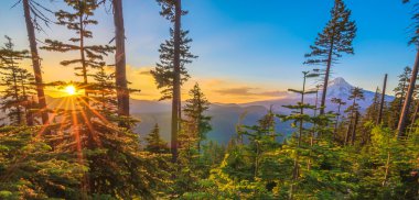 güzel manzara mount hood Oregon, usa.