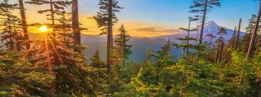 güzel manzara mount hood Oregon, usa.