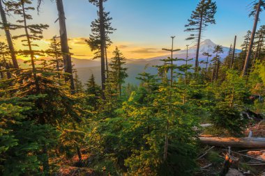 güzel manzara mount hood Oregon, usa.