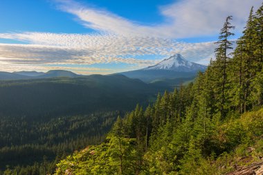 güzel manzara mount hood Oregon, usa.