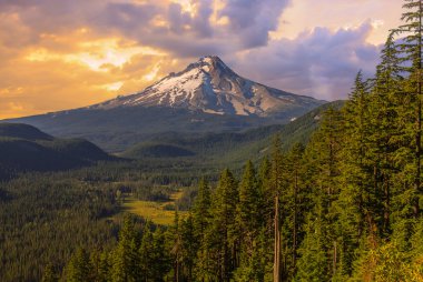 güzel manzara mount hood Oregon, usa.