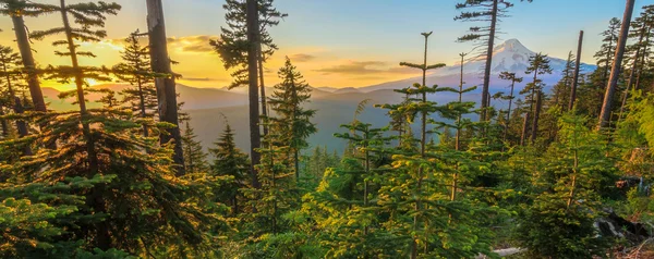 Gyönyörű kilátás a mount hood, Oregon, Amerikai Egyesült Államok. — Stock Fotó