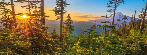 güzel manzara mount hood Oregon, usa.