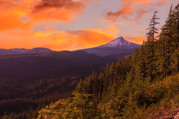 Mooie uitzicht van de mount hood in oregon, Verenigde Staten. — Stockfoto