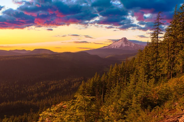 Mooie uitzicht van de mount hood in oregon, Verenigde Staten. — Stockfoto