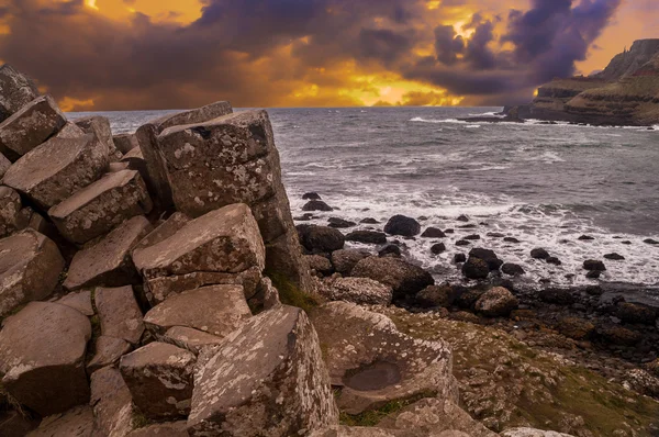 Causeway, Kuzey İrlanda dev — Stok fotoğraf