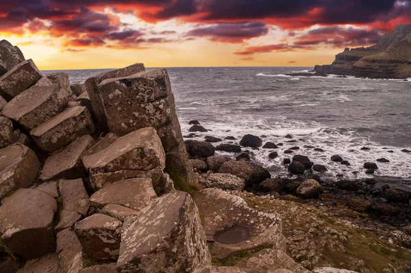 Causeway, Kuzey İrlanda dev — Stok fotoğraf