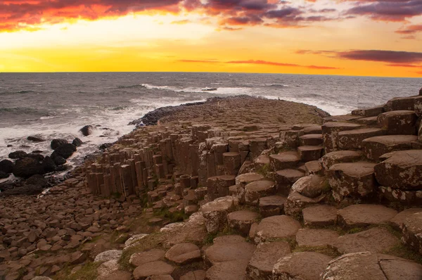 Causeway, Kuzey İrlanda dev — Stok fotoğraf