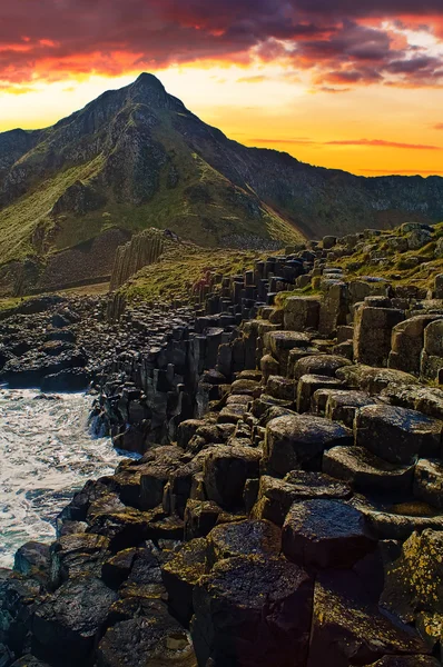 Giant 's Causeway, Northern Ireland — стоковое фото