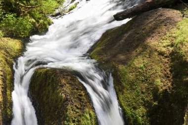 Ainsworth Hiking Trail Oregon, ABD.
