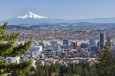 Portland, Oregon güzel uzak manzara