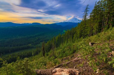 güzel manzara mount hood Oregon, usa.