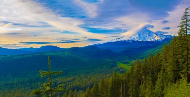 güzel manzara mount hood Oregon, usa.