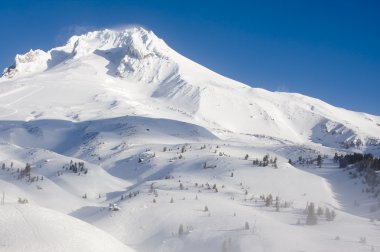 Görkemli görünümünü Mount Hood Oregon, ABD.