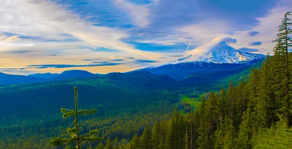 Schöne aussicht auf die haube des berges in oregon, USA. — Stockfoto