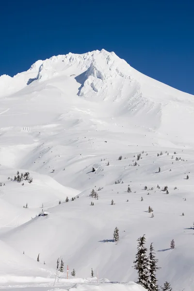 Vue majestueuse du mont Hood en Oregon, États-Unis . — Photo