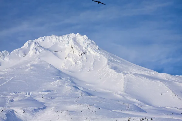 Vista maestosa del Monte Cappuccio in Oregon, Stati Uniti . — Foto Stock