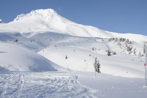 Vue majestueuse du mont Hood en Oregon, États-Unis . — Photo