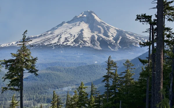 Schöne aussicht auf die haube des berges in oregon, USA. — Stockfoto