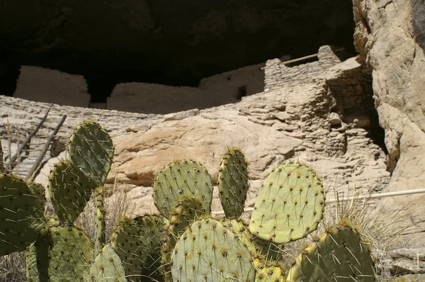 Viviendas en acantilados — Foto de Stock