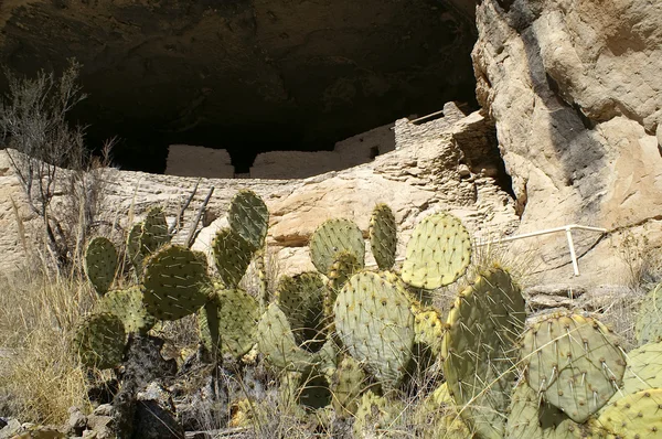 Cliff Dwellings — Stock Photo, Image