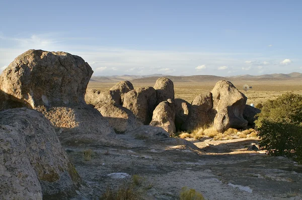 City of Rocks, New Mexico — Stock Photo, Image