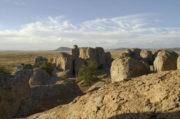 City of Rocks, New Mexico — Stock Photo, Image