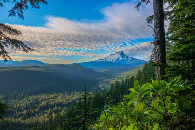 güzel manzara mount hood Oregon, usa.