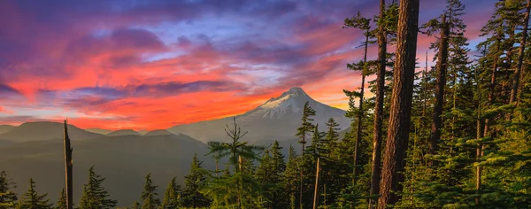 Mooie uitzicht van de mount hood in oregon, Verenigde Staten — Stockfoto