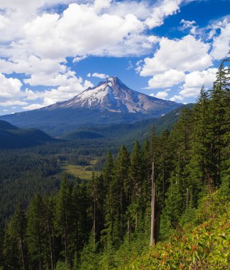 güzel manzara mount hood Oregon, usa