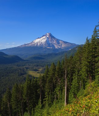 güzel manzara mount hood Oregon, usa